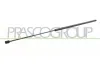 Gasfeder, Koffer-/Laderaum hinten links hinten rechts PRASCO FT9089055