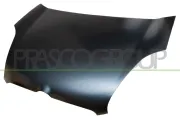 Motorhaube PRASCO FT9103100