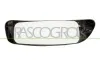 Spiegelglas, Außenspiegel links PRASCO FT9107534
