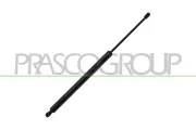 Gasfeder, Koffer-/Laderaum hinten links hinten rechts PRASCO FT9149059