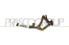 Scharnier, Motorhaube rechts PRASCO FT9193703