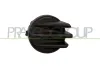 Blende, Nebelscheinwerfer rechts PRASCO FT9221249