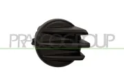 Blende, Nebelscheinwerfer rechts PRASCO FT9221249