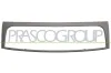 Rahmen, Kühlergitter PRASCO FT9232305