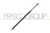 Gasfeder, Koffer-/Laderaum hinten links hinten rechts PRASCO FT9239055