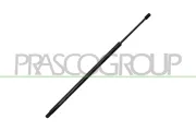 Gasfeder, Koffer-/Laderaum hinten links hinten rechts PRASCO FT9239055