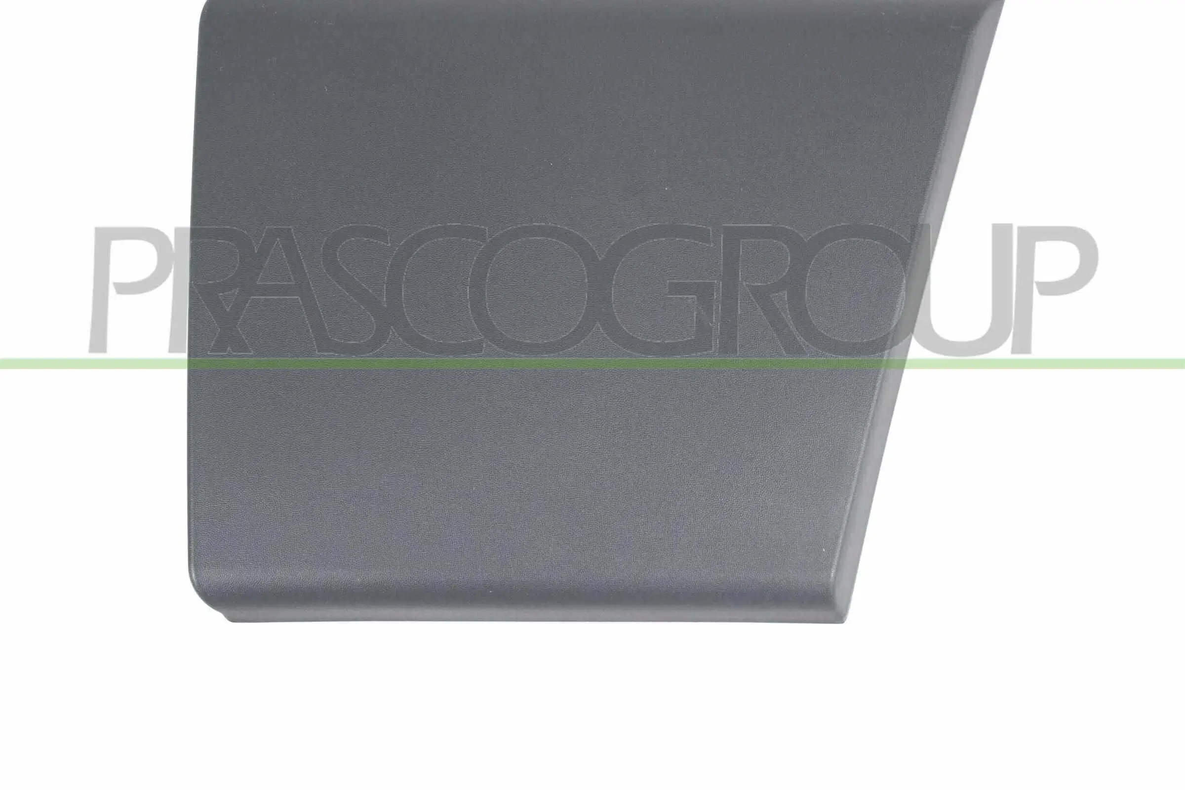 Zier-/Schutzleiste, Tür vorne links PRASCO FT9301406