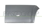 Zier-/Schutzleiste, Tür hinten rechts PRASCO FT9301465