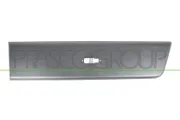 Zier-/Schutzleiste, Tür hinten links PRASCO FT9321464