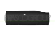 Zier-/Schutzleiste, Tür hinten rechts PRASCO FT9501453