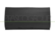 Zier-/Schutzleiste, Kotflügel hinten links PRASCO FT9501474