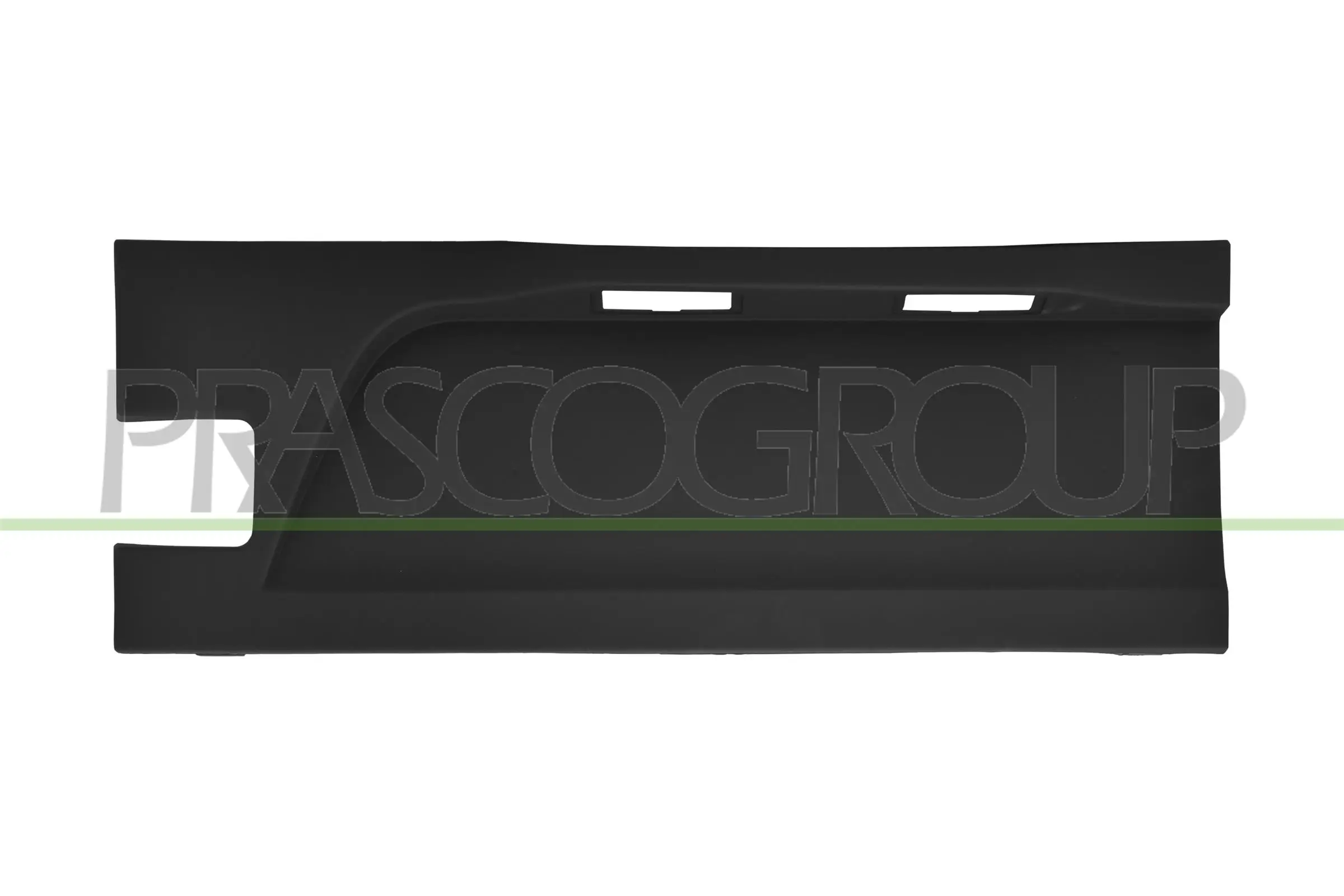 Zier-/Schutzleiste, Tür hinten links PRASCO FT9501494