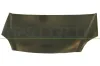 Motorhaube PRASCO HD0383100