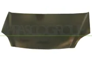 Motorhaube PRASCO HD0383100