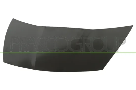 Motorhaube PRASCO HD0423100 Bild Motorhaube PRASCO HD0423100