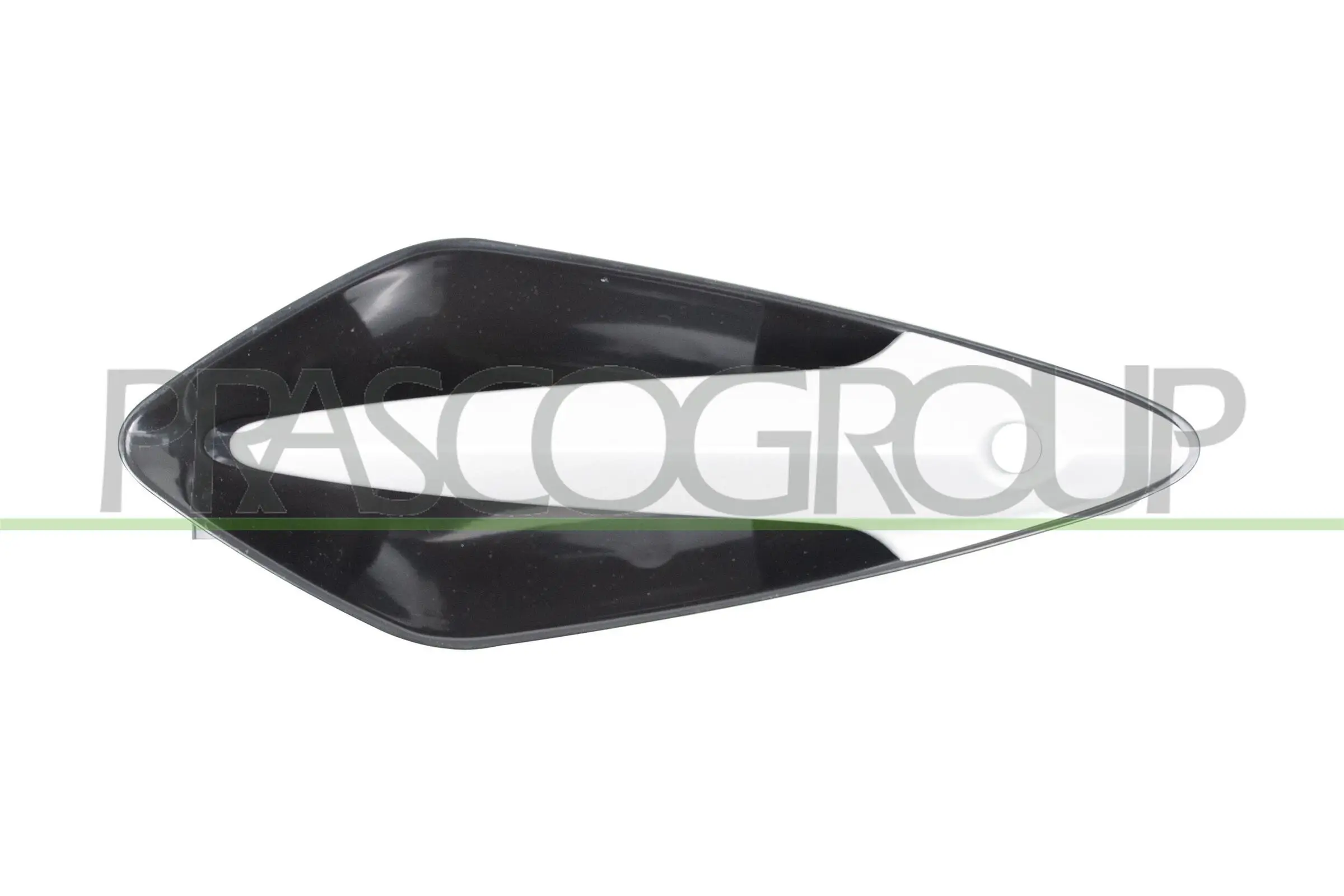 Türaußengriff außen vorne links PRASCO HD0428004