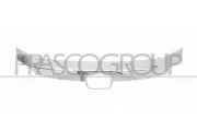 Kühlergitter PRASCO HD0482206