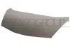 Motorhaube PRASCO HD3243100