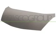 Motorhaube PRASCO HD3243100