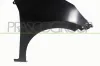 Kotfl&uuml;gel vorne rechts PRASCO HD3323003