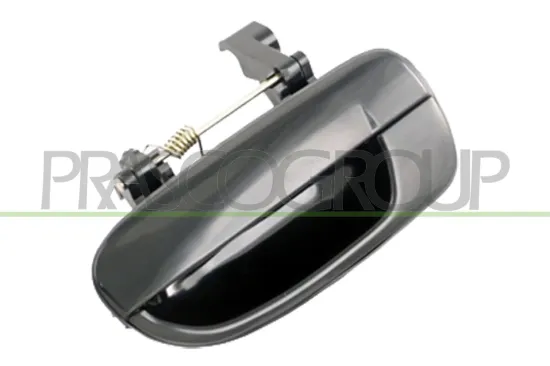 Türaußengriff außen hinten links PRASCO HN0168102 Bild Türaußengriff außen hinten links PRASCO HN0168102