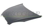 Motorhaube PRASCO HN0193100