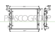 Kühler, Motorkühlung PRASCO HN040R002