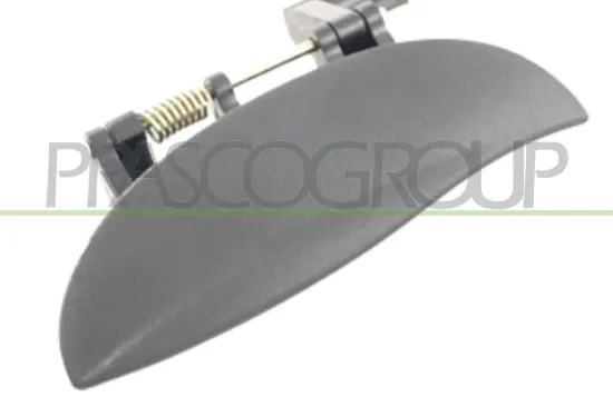 Türaußengriff außen vorne links PRASCO HN3208002 Bild Türaußengriff außen vorne links PRASCO HN3208002