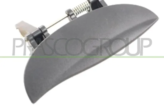 Türaußengriff außen hinten rechts PRASCO HN3208101 Bild Türaußengriff außen hinten rechts PRASCO HN3208101