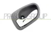 Türgriff, Innenausstattung innen hinten links PRASCO HN3208518