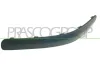 Zier-/Schutzleiste, Sto&szlig;f&auml;nger vorne links PRASCO HN3301244