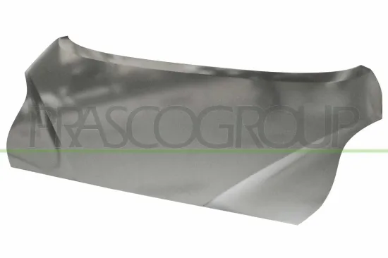 Motorhaube PRASCO HN4203100 Bild Motorhaube PRASCO HN4203100