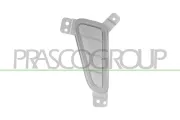 Reflektor, Positions-/Begrenzungsleuchte vorne rechts PRASCO HN4504323