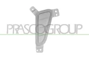 Reflektor, Positions-/Begrenzungsleuchte vorne links PRASCO HN4504324