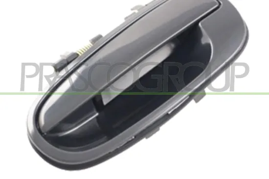 Türaußengriff außen hinten links PRASCO HN7158102 Bild Türaußengriff außen hinten links PRASCO HN7158102