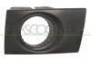 Klappe, Abschlepphaken vorne links PRASCO HN8021248