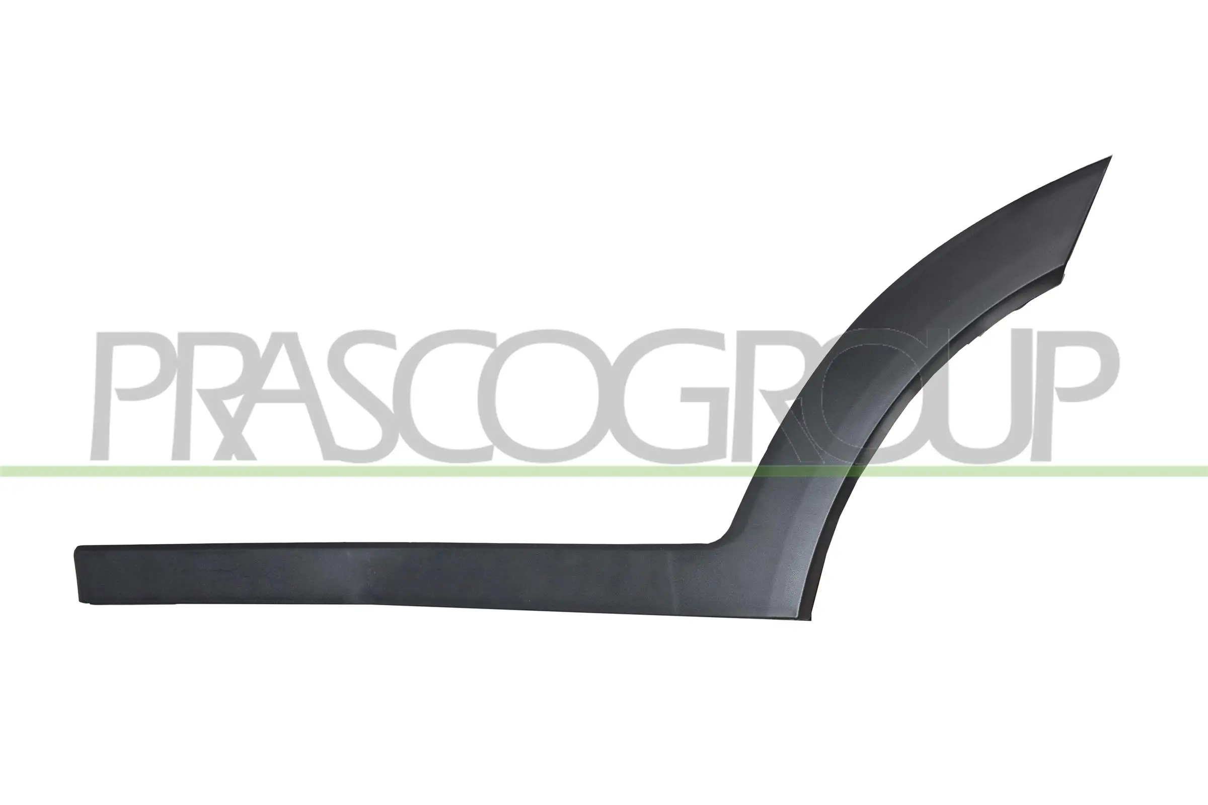 Zier-/Schutzleiste, Tür hinten links PRASCO HN8061454