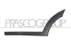 Zier-/Schutzleiste, T&uuml;r hinten links PRASCO HN8061454