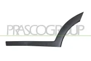 Zier-/Schutzleiste, Tür hinten links PRASCO HN8061454