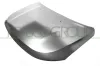 Motorhaube PRASCO JE0343110