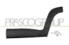 Zier-/Schutzleiste, T&uuml;r hinten links PRASCO JE1001454