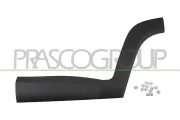 Zier-/Schutzleiste, Tür hinten links PRASCO JE1001454