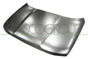 Motorhaube PRASCO JE1003110