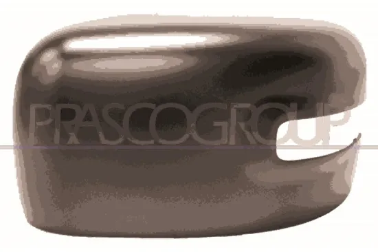 Abdeckung, Außenspiegel links PRASCO JE1007404 Bild Abdeckung, Außenspiegel links PRASCO JE1007404