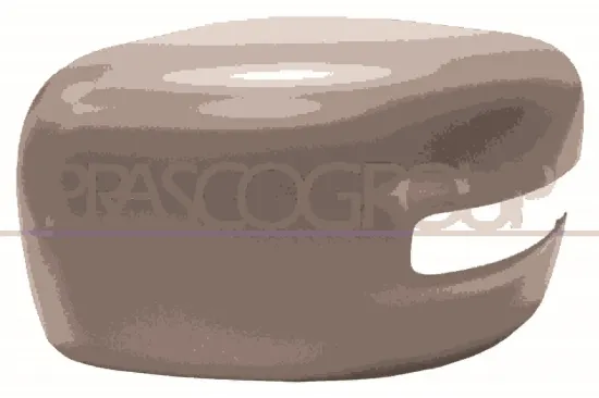 Abdeckung, Außenspiegel links PRASCO JE1007414 Bild Abdeckung, Außenspiegel links PRASCO JE1007414