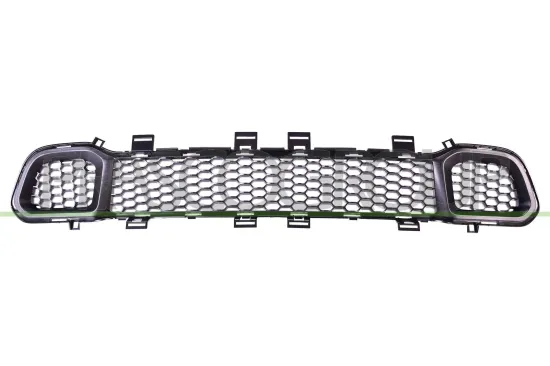 Lüftungsgitter, Stoßfänger vorne PRASCO JE2002120 Bild Lüftungsgitter, Stoßfänger vorne PRASCO JE2002120