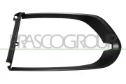 Rahmen, Kühlergitter links PRASCO JG8001248