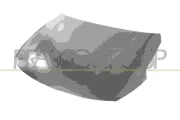 Motorhaube PRASCO KI0623100
