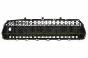 Lüftungsgitter, Stoßfänger vorne PRASCO KI3542120