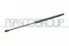 Gasfeder, Koffer-/Laderaum hinten links hinten rechts PRASCO LA0019055